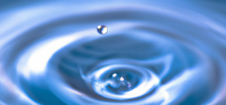 Gardez l’Eau dans votre Jardin